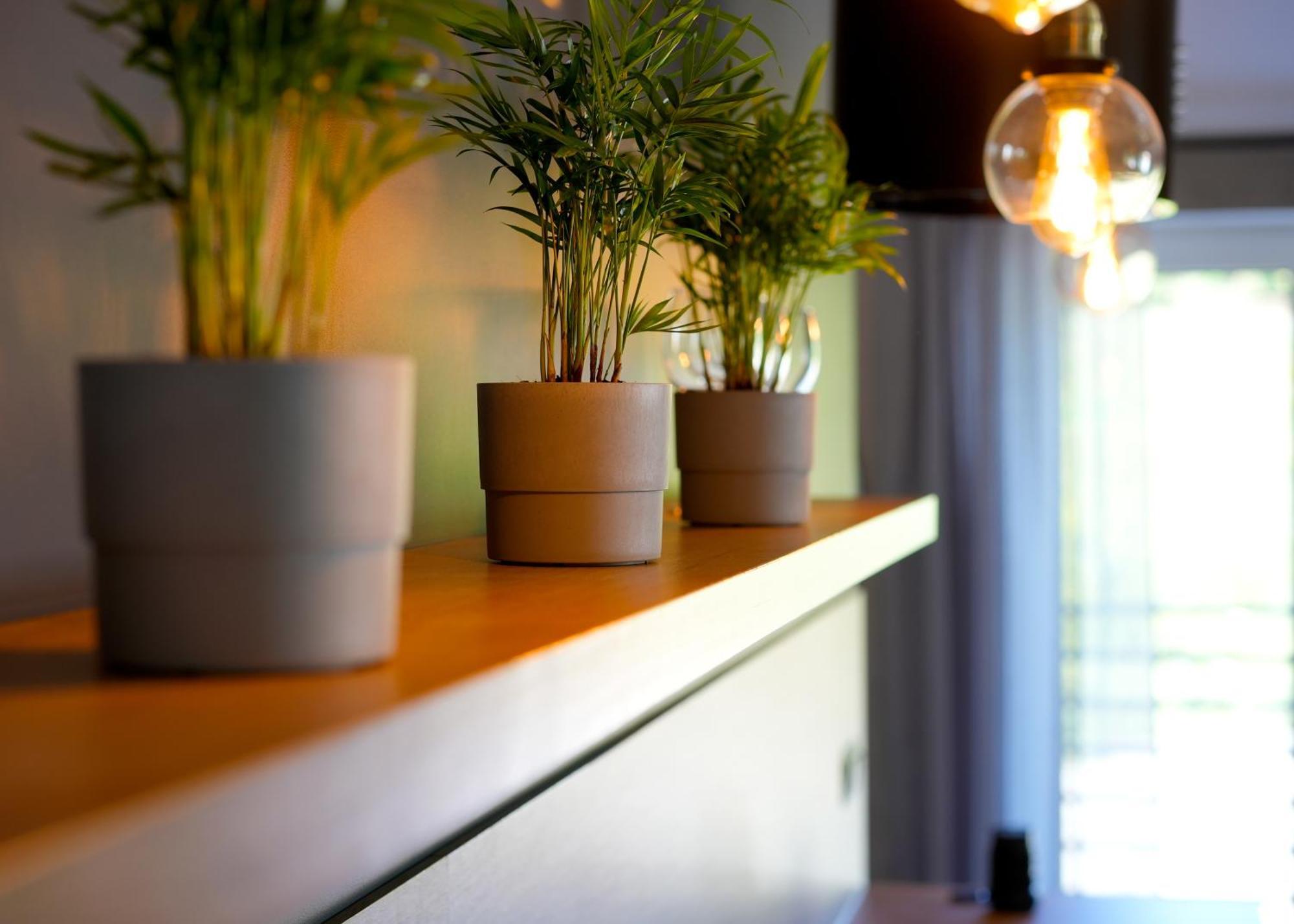 Apartament Na Wzgorzu Kudowa-Zdrój Extérieur photo